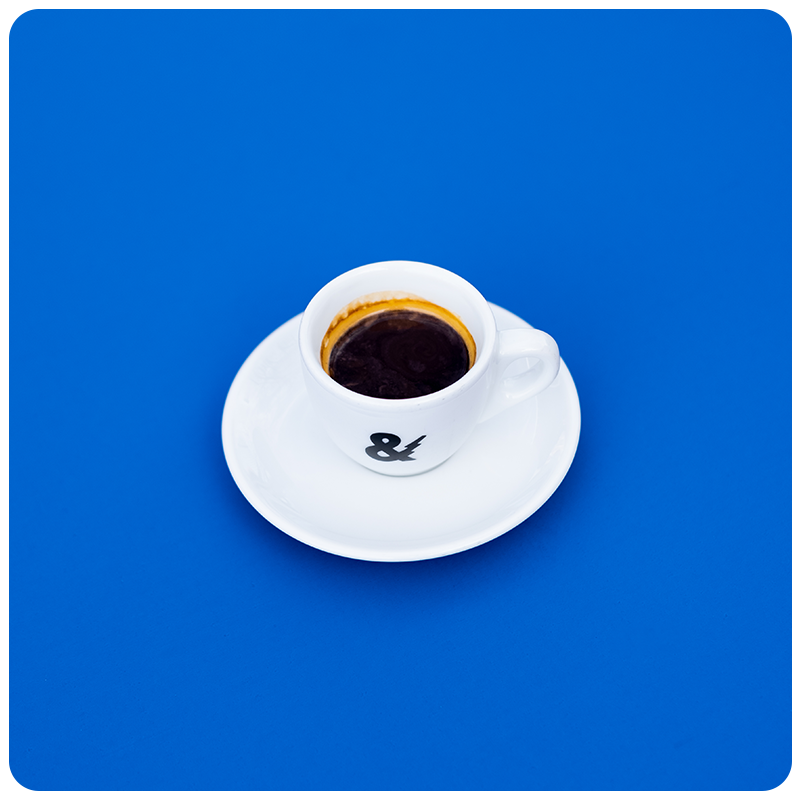 Wabbit Season City & State